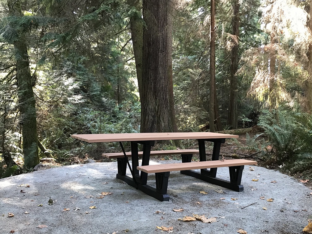 Picnic in the Forest