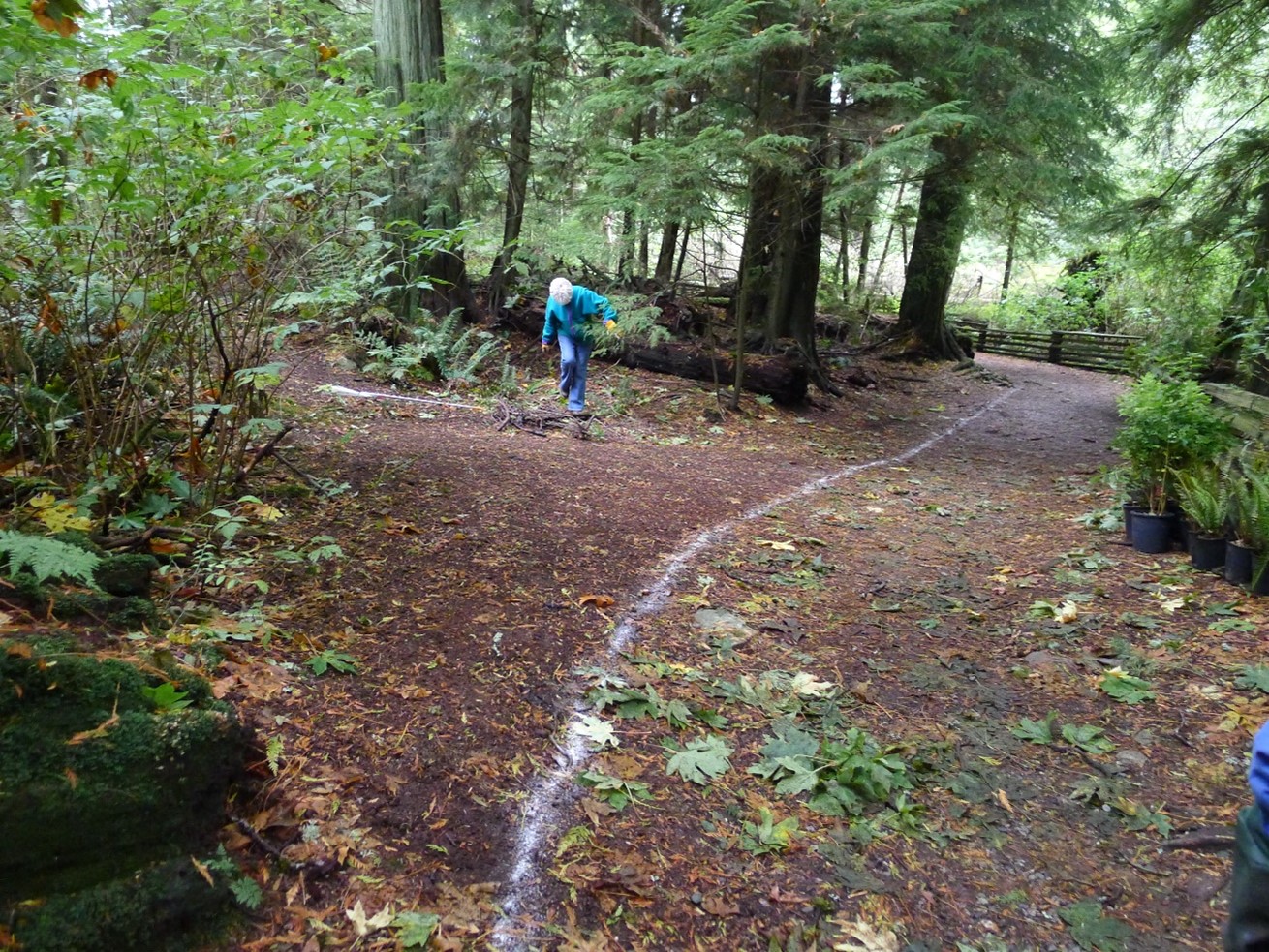 Volunteers restoring a degraded corner of the trail 1